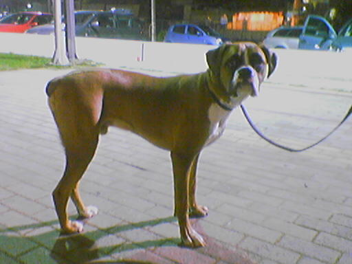walk