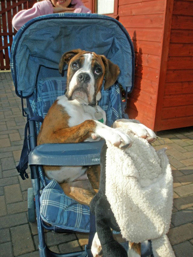 Walkies!