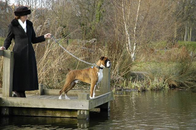 walking in the park