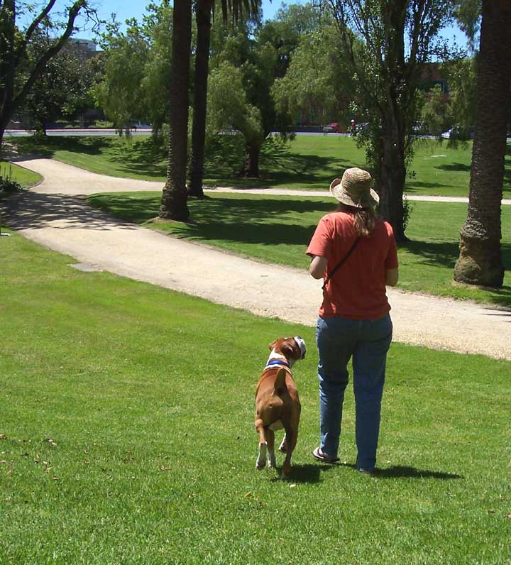 Walking in the Park