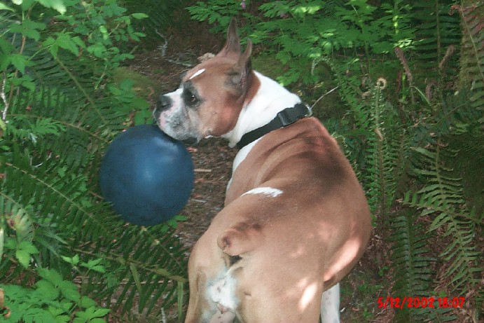 Walking with her balloon