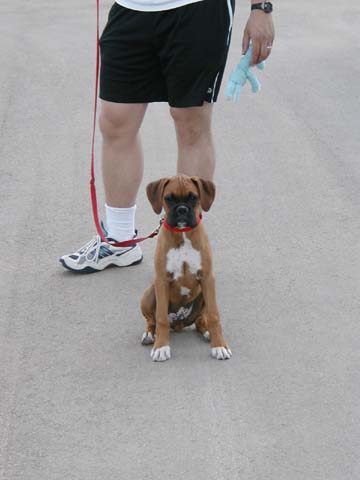 walktime
