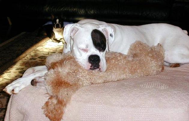 Wallace & Annie