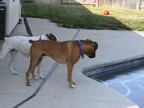 Wanna Jump In?