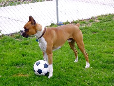 Wanna play soccor