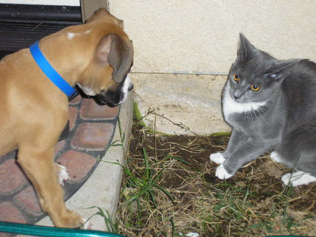 Wanna play with me
