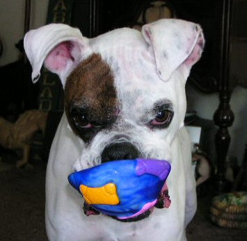 wanna play?