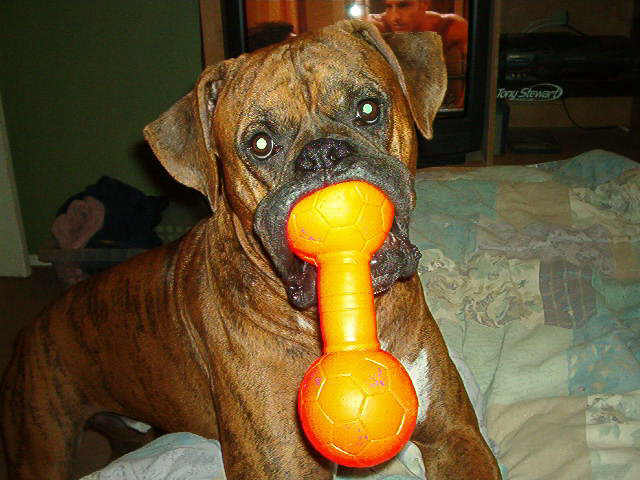 Wanna Play
