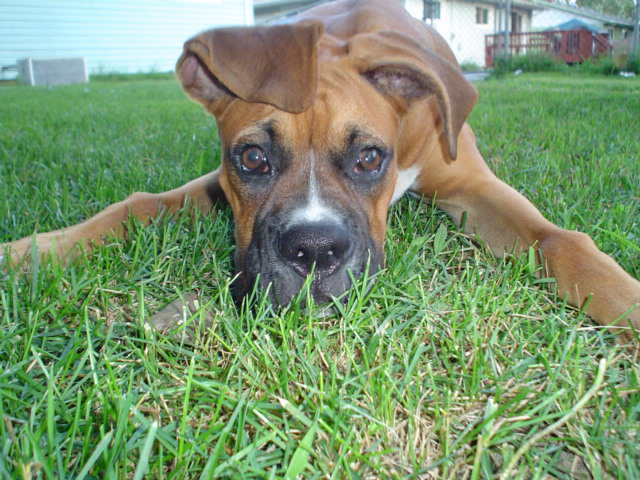 Wanna Play?