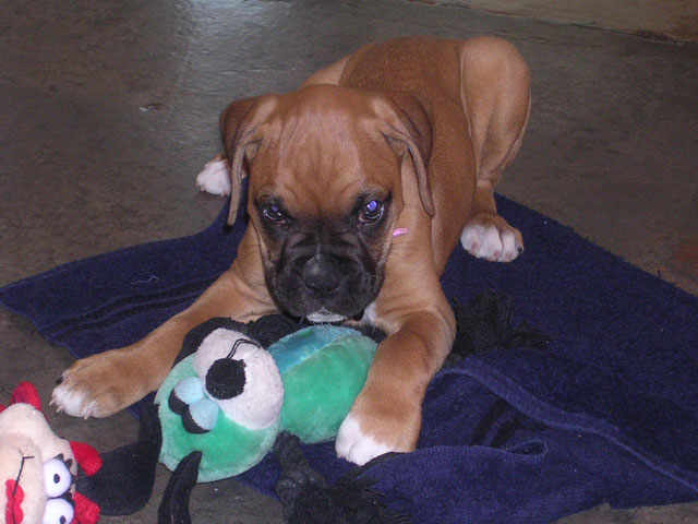 Wanna play?