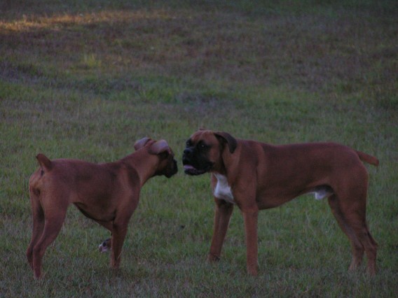 Wanna Play