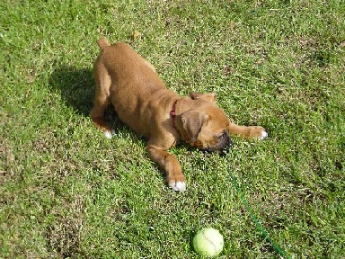 Wanna Play?