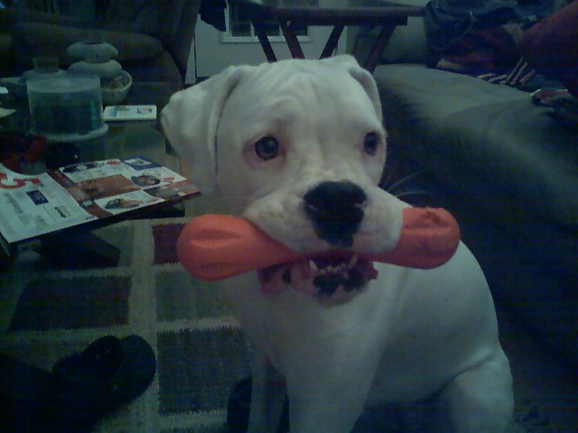 Wanna play?