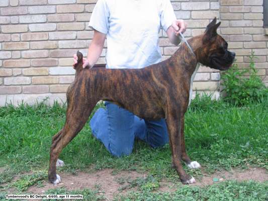 Wannabe at 11 months