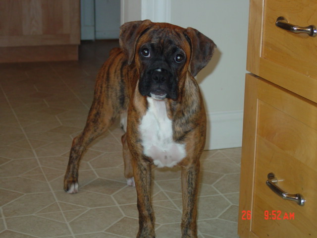 want a treat??????