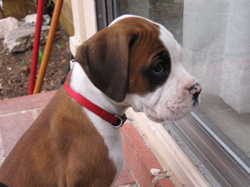 Wanting In