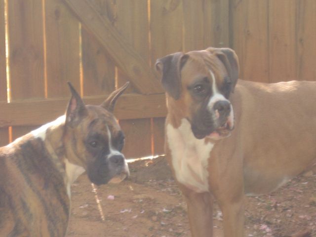 Was that a squirrel?