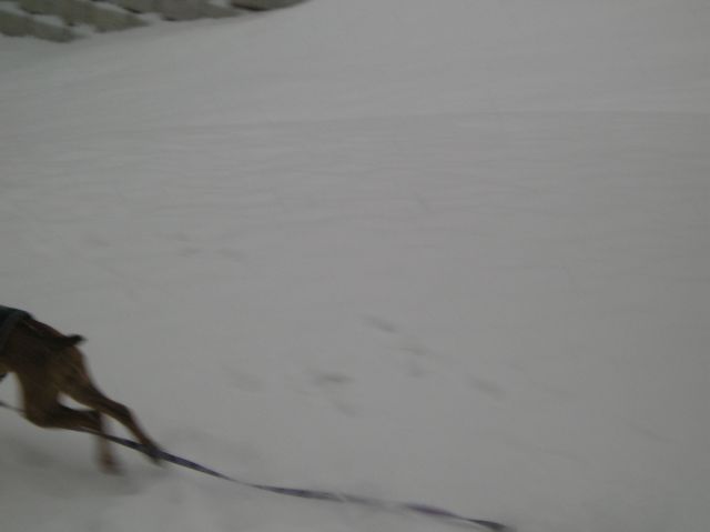 watch out there she goes!!!