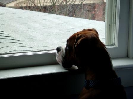 Watchin' the world go by