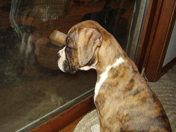 watchin