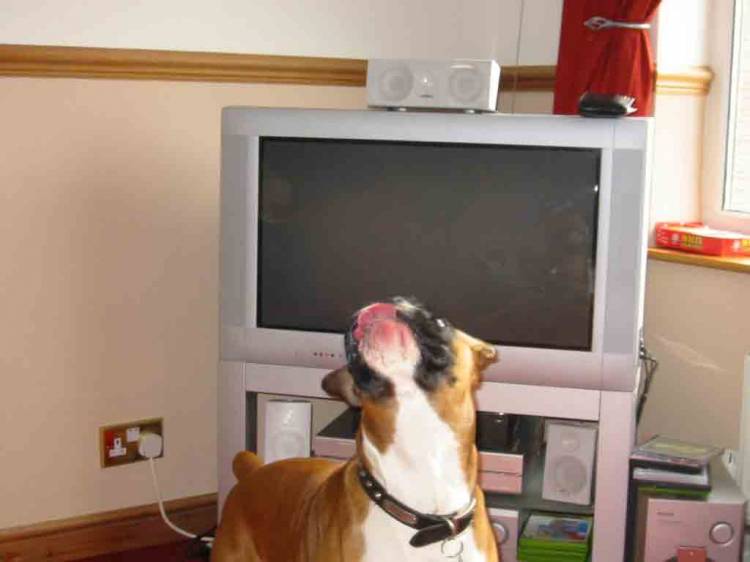 watching a balloon