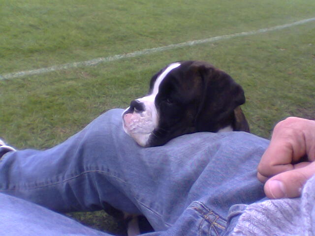 Watching cricket...