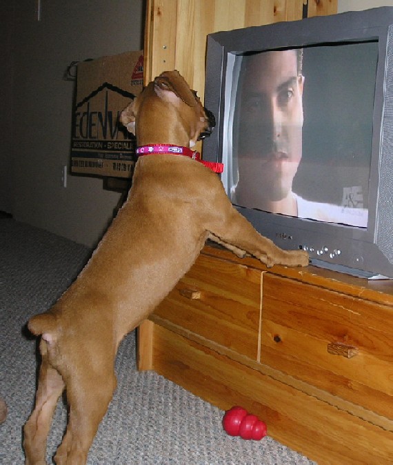 Watching CSI!!!