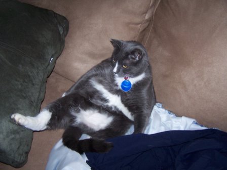 Watching the TV
