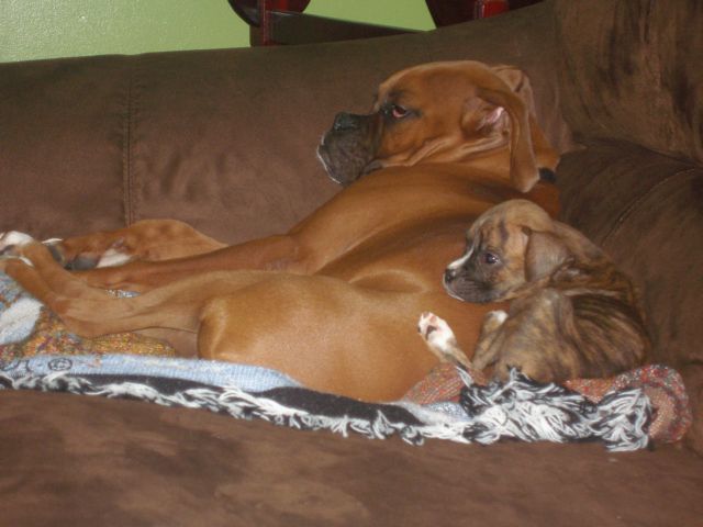 Watching TV w/ Xander