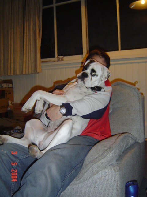 Watching tv with dad