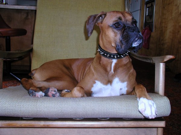 Watching TV