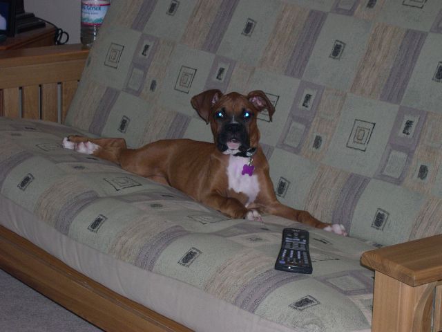 Watching TV