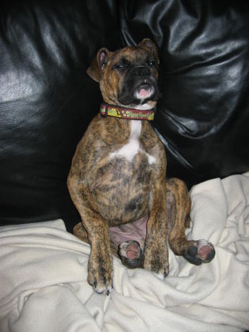 watching tv