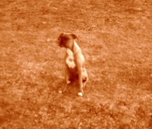 watching us