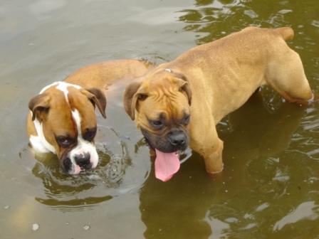 water babies