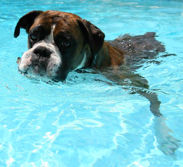 Water baby
