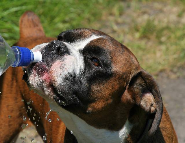 Water break