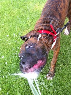 Water fun