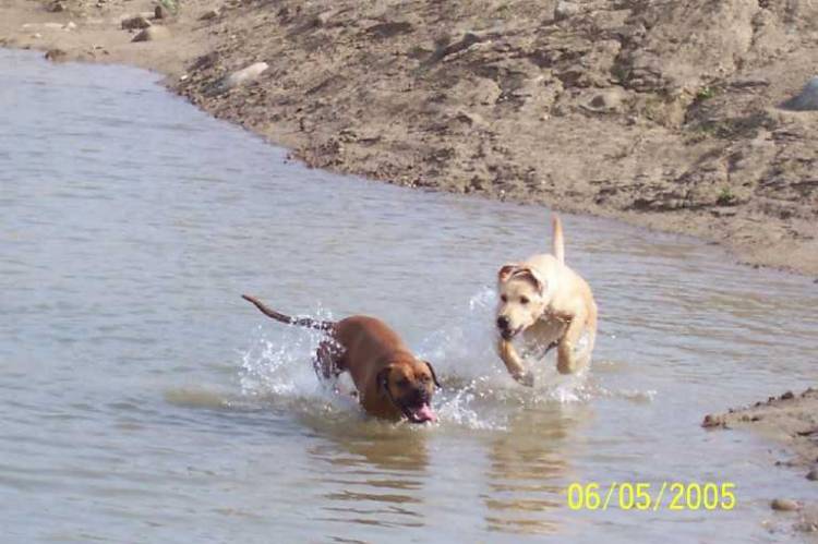 Water Games!