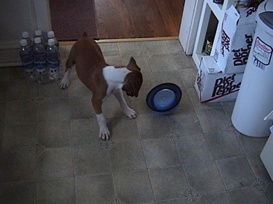 Water Please!