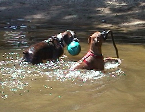 water toys