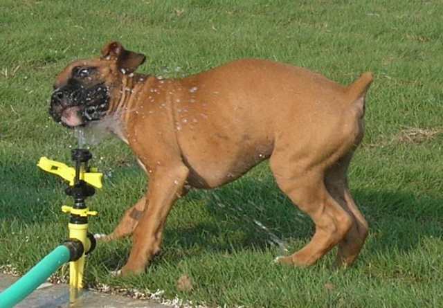 Watering my face!