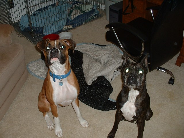 We Angels Mom - Can we have a treat???