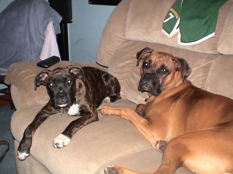 We can be on the couch... right?