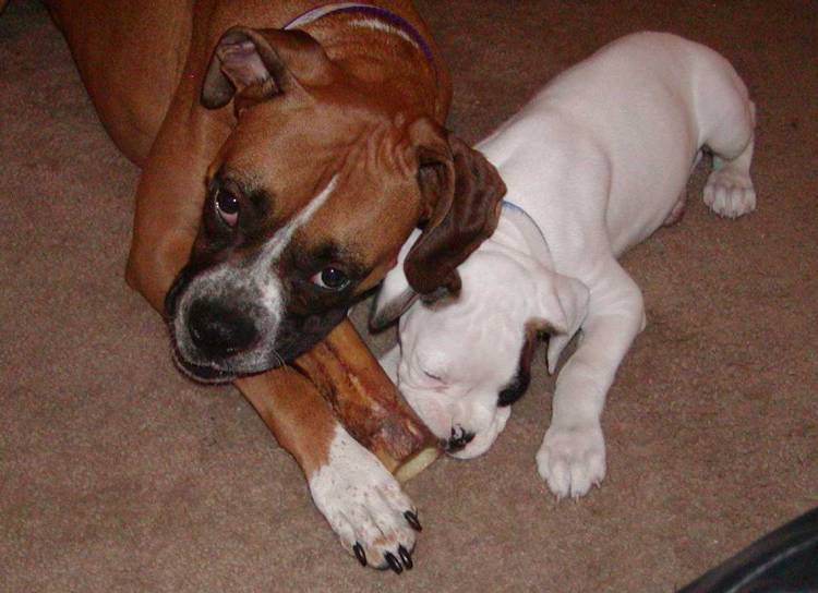 We can share.