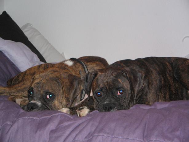 we can't live without each other!!!