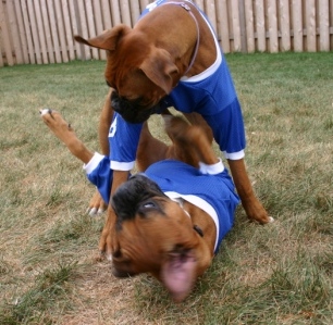 We have a personal foul...