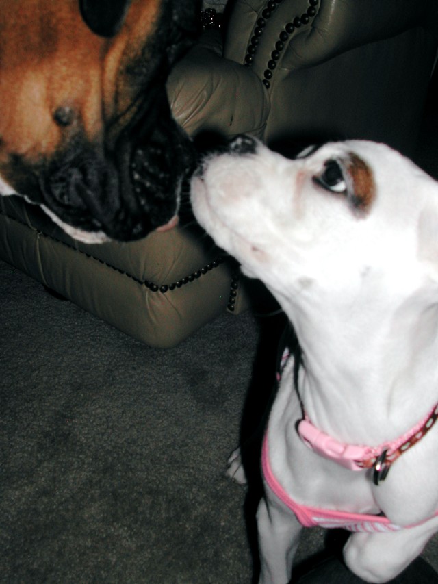 we love each other!