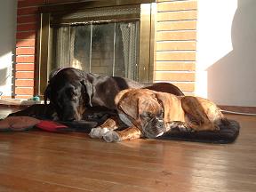 We love sun bathing!