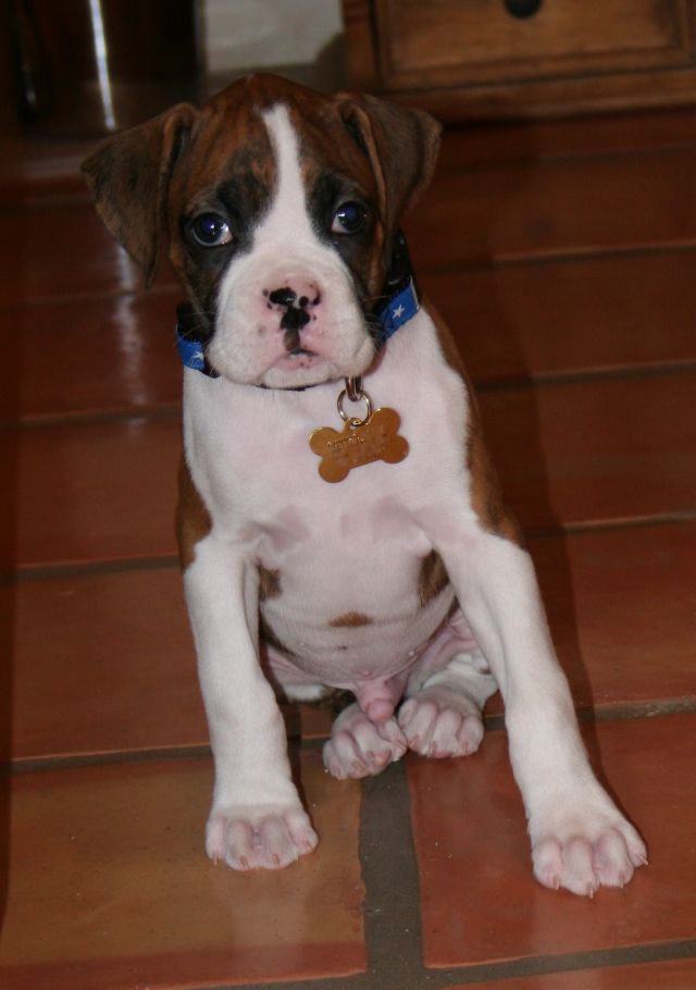 We love that face!